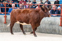 lot 4 Meonside Secret Raindrop sold for 2100gns